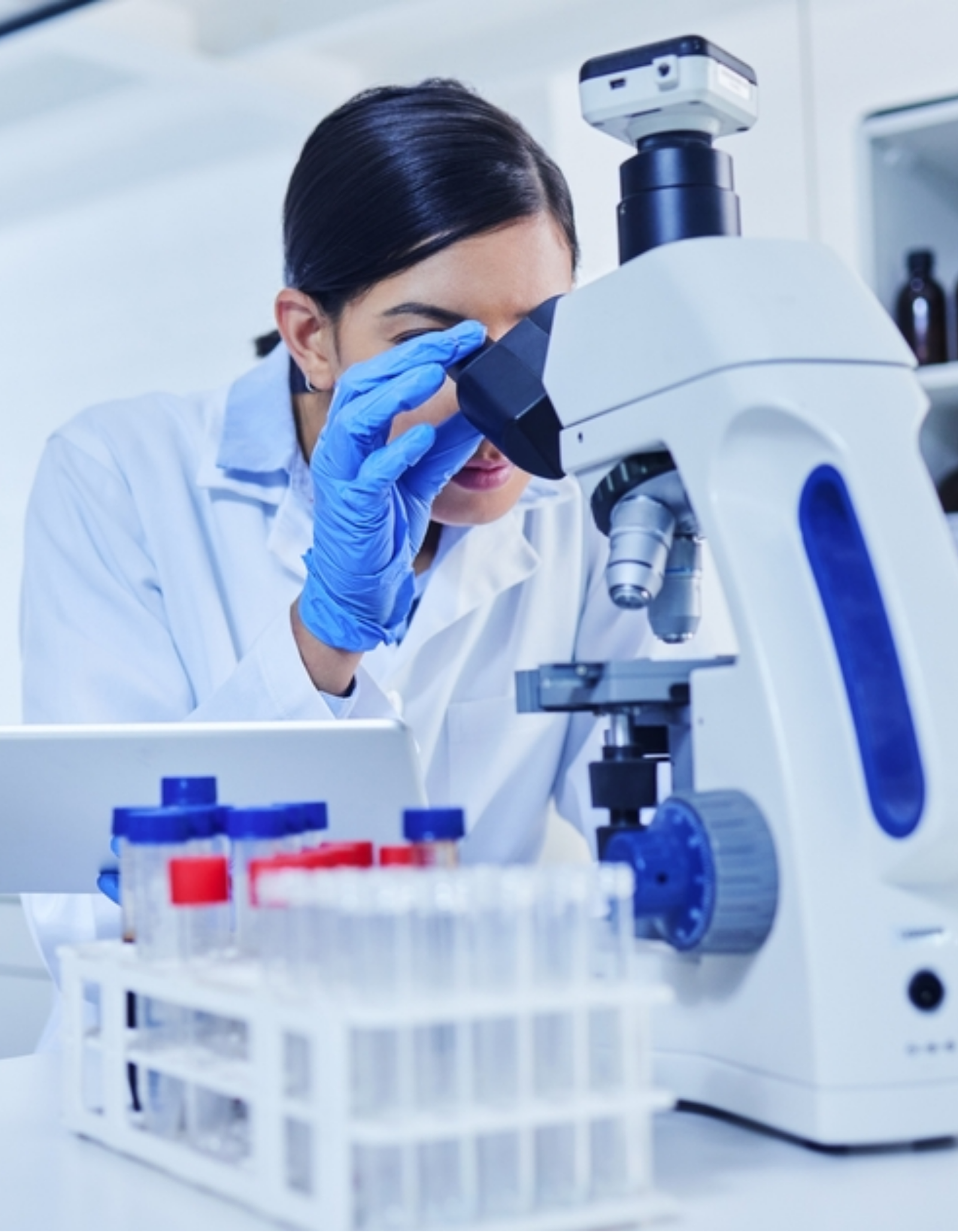 Secure Pathlabs in Bhopal provides accurate blood tests, full body checkups, and expert pathology services with 25+ years of trust.